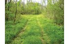 Property photo 8 - 160 Acres in 4 Tracts - Building Potential and Cropland